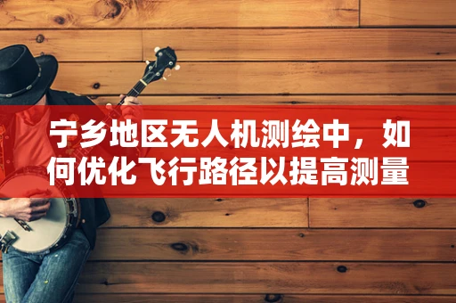 宁乡地区无人机测绘中，如何优化飞行路径以提高测量精度？