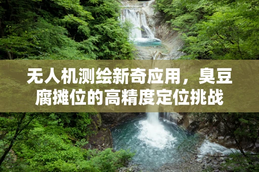 无人机测绘新奇应用，臭豆腐摊位的高精度定位挑战