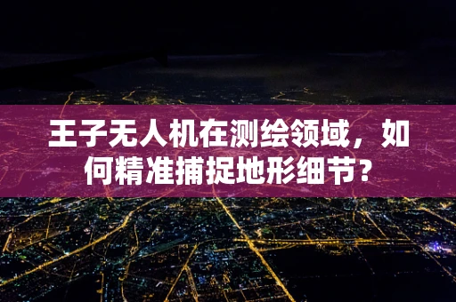 王子无人机在测绘领域，如何精准捕捉地形细节？