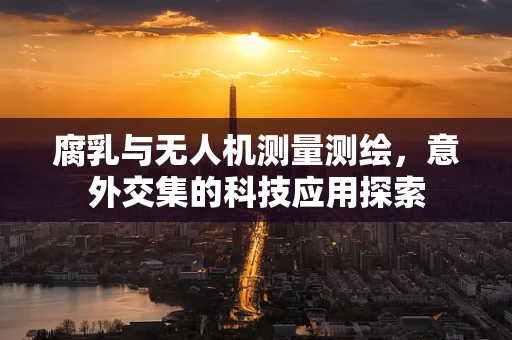 腐乳与无人机测量测绘，意外交集的科技应用探索