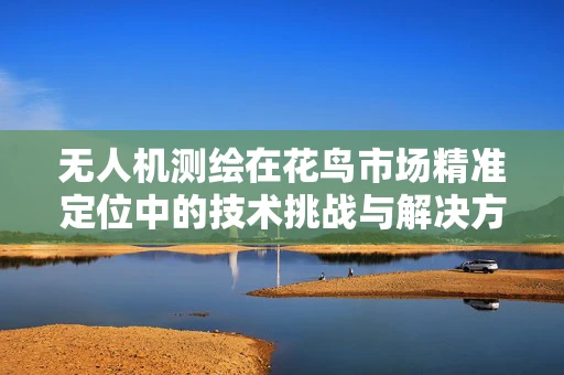 无人机测绘在花鸟市场精准定位中的技术挑战与解决方案？