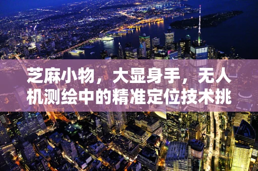 芝麻小物，大显身手，无人机测绘中的精准定位技术挑战