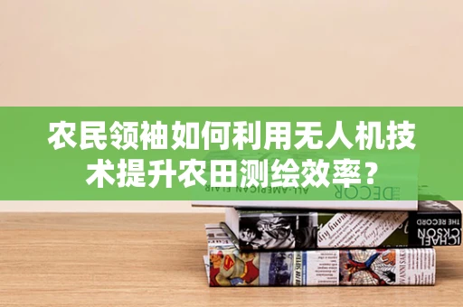 农民领袖如何利用无人机技术提升农田测绘效率？