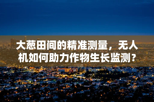 大葱田间的精准测量，无人机如何助力作物生长监测？
