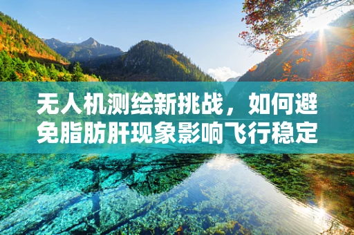 无人机测绘新挑战，如何避免脂肪肝现象影响飞行稳定性？