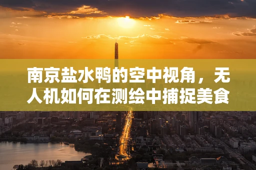 南京盐水鸭的空中视角，无人机如何在测绘中捕捉美食文化？