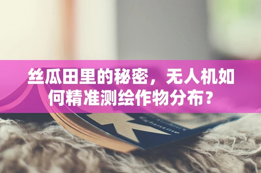 丝瓜田里的秘密，无人机如何精准测绘作物分布？