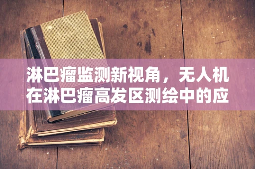 淋巴瘤监测新视角，无人机在淋巴瘤高发区测绘中的应用挑战