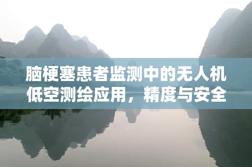 脑梗塞患者监测中的无人机低空测绘应用，精度与安全性的平衡？
