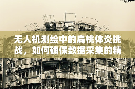 无人机测绘中的扁桃体炎挑战，如何确保数据采集的精准与健康？