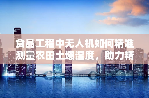 食品工程中无人机如何精准测量农田土壤湿度，助力精准农业？