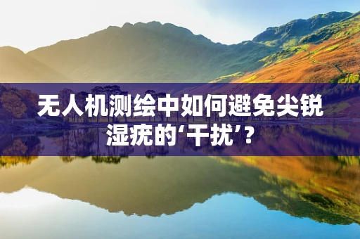 无人机测绘中如何避免尖锐湿疣的‘干扰’？