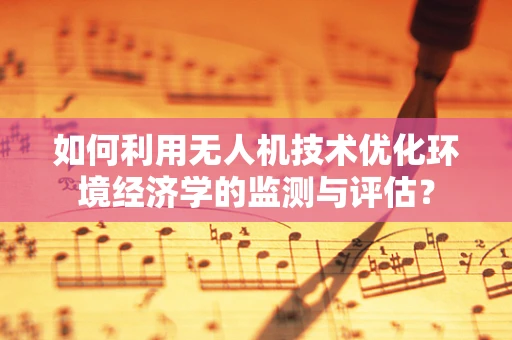 如何利用无人机技术优化环境经济学的监测与评估？