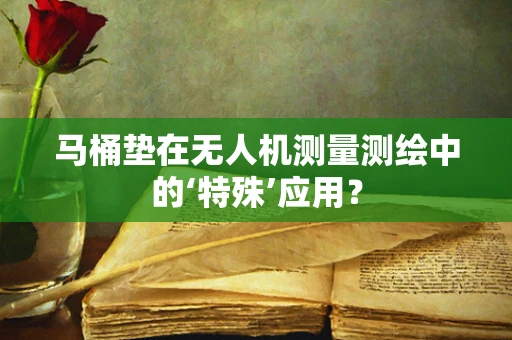 马桶垫在无人机测量测绘中的‘特殊’应用？