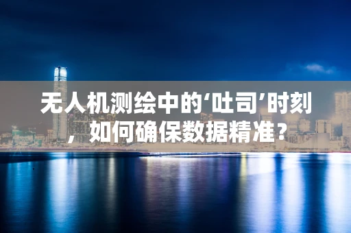 无人机测绘中的‘吐司’时刻，如何确保数据精准？