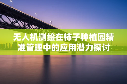 无人机测绘在柿子种植园精准管理中的应用潜力探讨