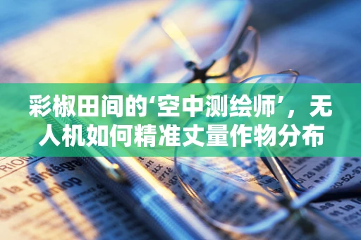 彩椒田间的‘空中测绘师’，无人机如何精准丈量作物分布？