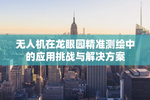 无人机在龙眼园精准测绘中的应用挑战与解决方案