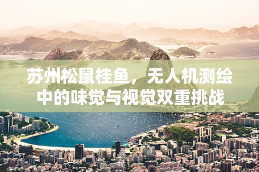 苏州松鼠桂鱼，无人机测绘中的味觉与视觉双重挑战