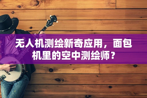 无人机测绘新奇应用，面包机里的空中测绘师？