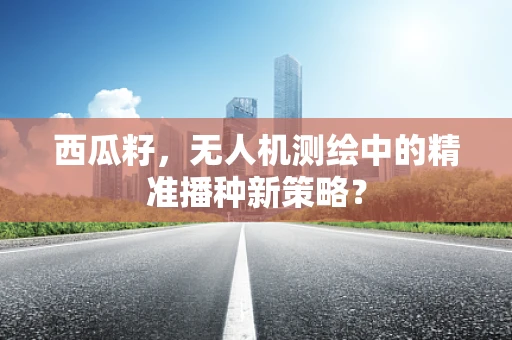 西瓜籽，无人机测绘中的精准播种新策略？