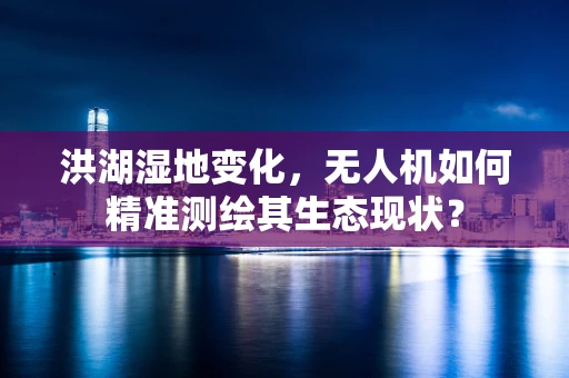 洪湖湿地变化，无人机如何精准测绘其生态现状？