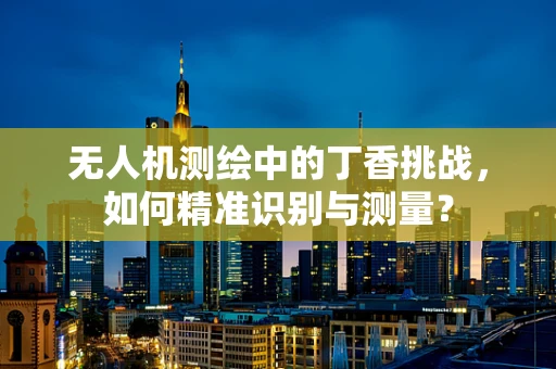无人机测绘中的丁香挑战，如何精准识别与测量？