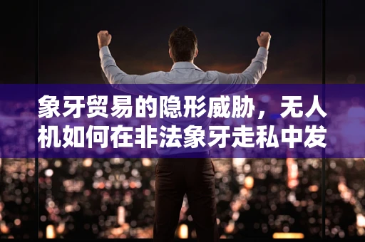 象牙贸易的隐形威胁，无人机如何在非法象牙走私中发挥监测作用？