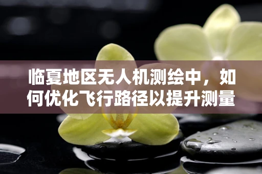 临夏地区无人机测绘中，如何优化飞行路径以提升测量精度？