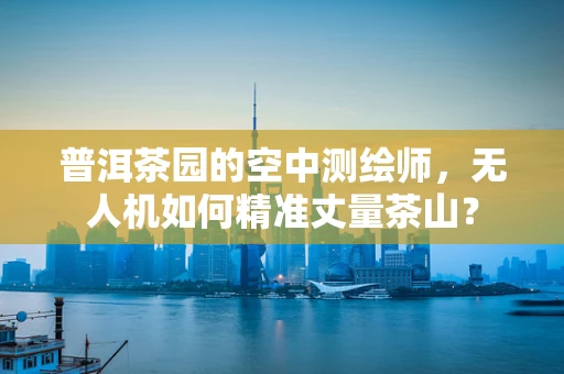 普洱茶园的空中测绘师，无人机如何精准丈量茶山？