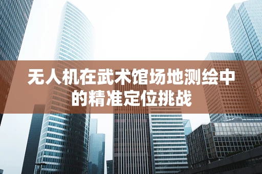 无人机在武术馆场地测绘中的精准定位挑战