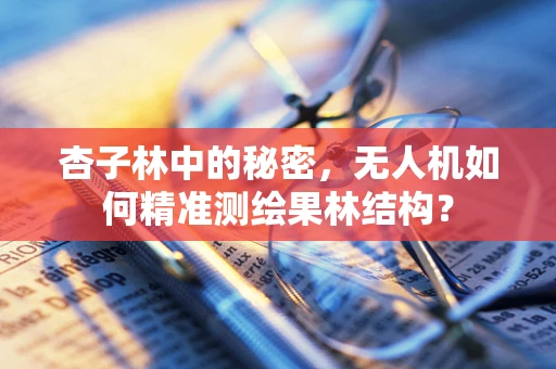 杏子林中的秘密，无人机如何精准测绘果林结构？