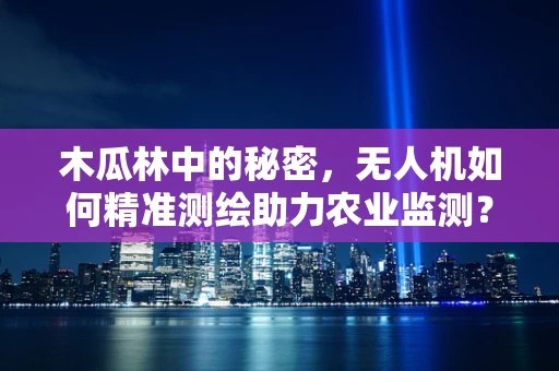 木瓜林中的秘密，无人机如何精准测绘助力农业监测？