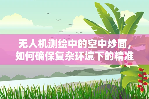 无人机测绘中的空中炒面，如何确保复杂环境下的精准定位与高效作业？