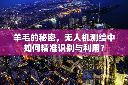 羊毛的秘密，无人机测绘中如何精准识别与利用？
