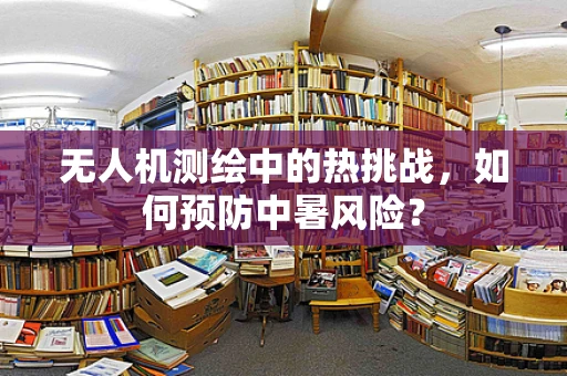 无人机测绘中的热挑战，如何预防中暑风险？