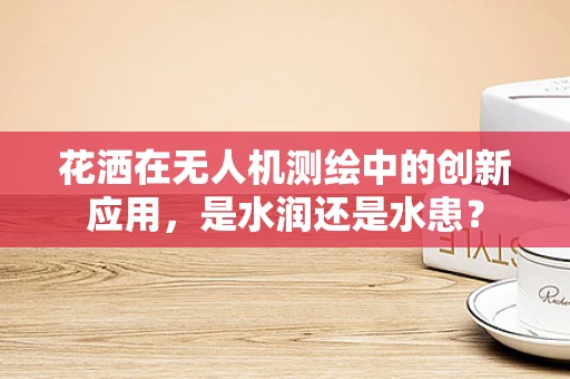 花洒在无人机测绘中的创新应用，是水润还是水患？
