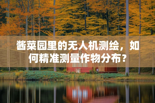 酱菜园里的无人机测绘，如何精准测量作物分布？