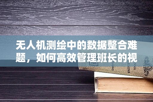无人机测绘中的数据整合难题，如何高效管理班长的视角？
