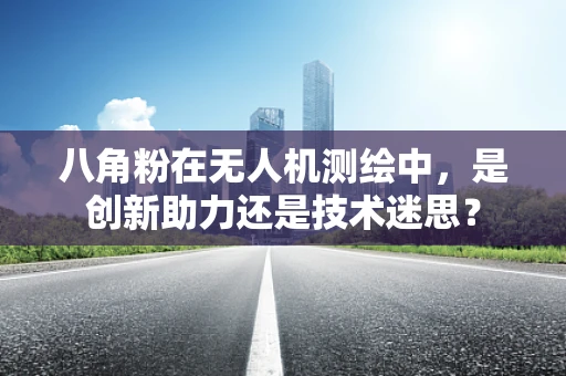 八角粉在无人机测绘中，是创新助力还是技术迷思？