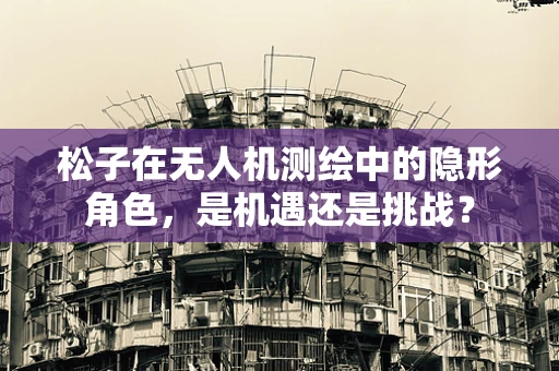松子在无人机测绘中的隐形角色，是机遇还是挑战？