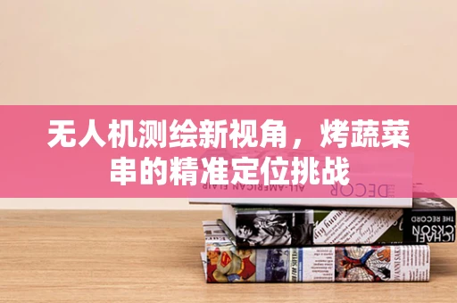 无人机测绘新视角，烤蔬菜串的精准定位挑战