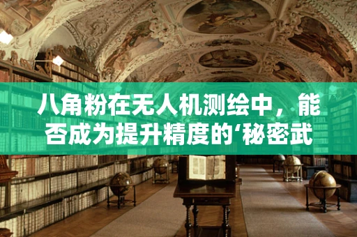 八角粉在无人机测绘中，能否成为提升精度的‘秘密武器’？