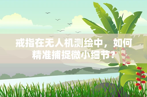 戒指在无人机测绘中，如何精准捕捉微小细节？