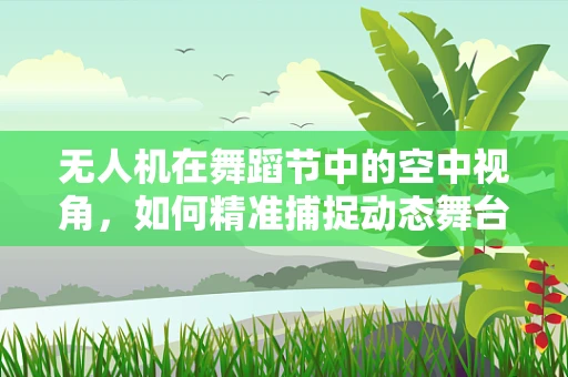 无人机在舞蹈节中的空中视角，如何精准捕捉动态舞台？
