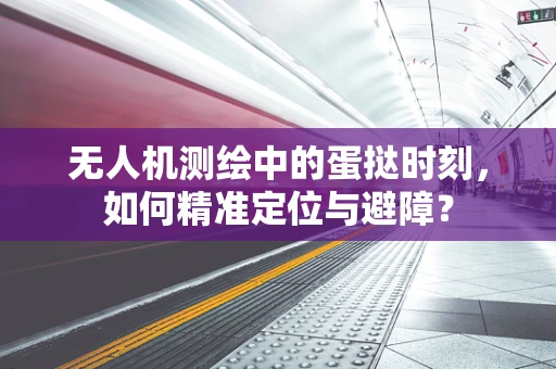 无人机测绘中的蛋挞时刻，如何精准定位与避障？