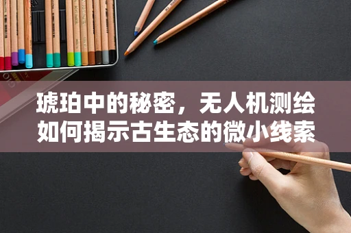 琥珀中的秘密，无人机测绘如何揭示古生态的微小线索？