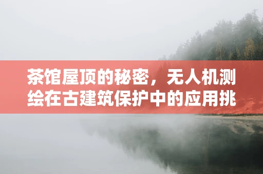 茶馆屋顶的秘密，无人机测绘在古建筑保护中的应用挑战