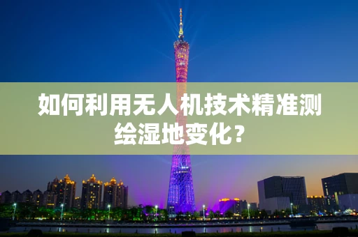 如何利用无人机技术精准测绘湿地变化？