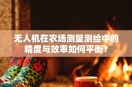 无人机在农场测量测绘中的精度与效率如何平衡？
